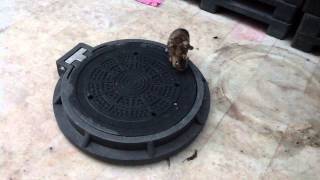 İstanbul Plastic Manhole Cover Sellers Gürsel Gürcan 0090 539 892 0770