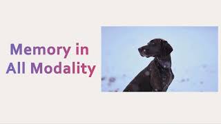 memverse: Multimodal Memory for Lifelong Learning Agents