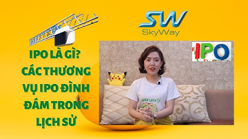 Skyway|IPO là gì? Các thương vụ IPO đình đám trong lịch sử| Khi lên sàn Skyway trị giá bao nhiêu?