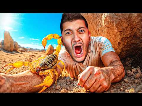 PUNTO da uno SCORPIONE del DESERTO!!