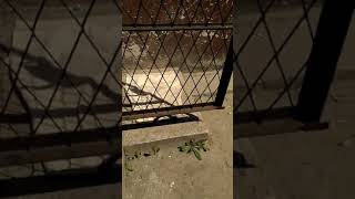 8S Tramping Boots Women Sweater I Thisort