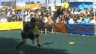 K-9s In Flight Chapter 2