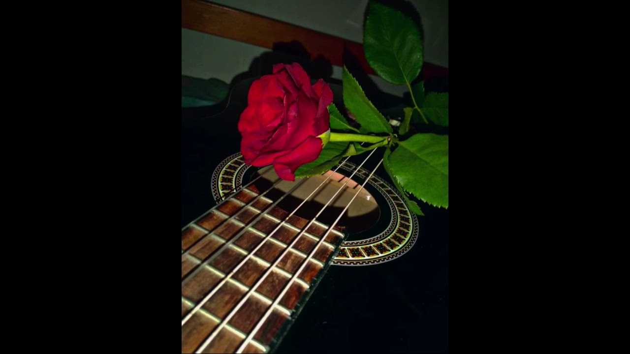Цветы, Любовь и гитара  