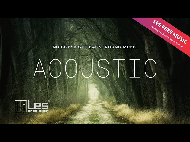 In The Forest - Acoustic Indie No Copyright / Royalty Free Background Music class=