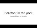 BAREFOOT IN THE PARK - James Blake ft. Rosalía - LETRA