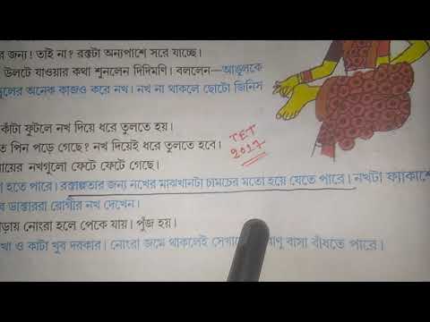 ভিডিও: পাতা থেকে চিঠি, পাতা থেকে সংখ্যা। কাটা লিফ টাইপোগ্রাফি আর্ট প্রজেক্ট মেই লিন চ্যানের