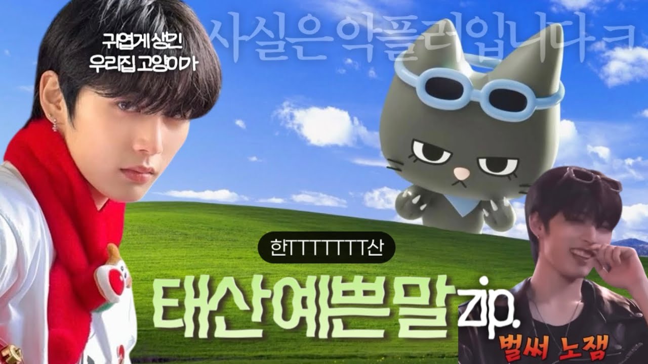 우리집 고양이가 사실 악플러입니다 ㅋ 태산 예쁜말 모음집 .zip 