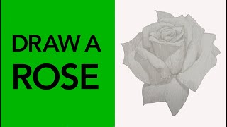 How to Draw a Realistic Rose (Easy Step-by-Step Tutorial)