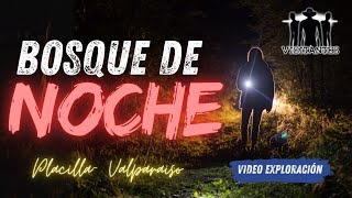TUVIMOS QUE DEVOLVERNOS DE NOCHE EN EL SENDERO DE PLACILLA VALPARAISO
