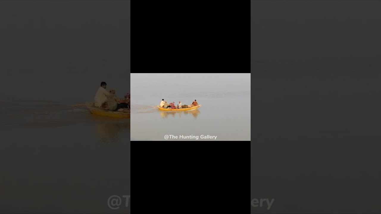 Hunting at Chenab River | Duck Hunting | Subscribe @thehuntinggallery8416 #subscribe #viralshorts