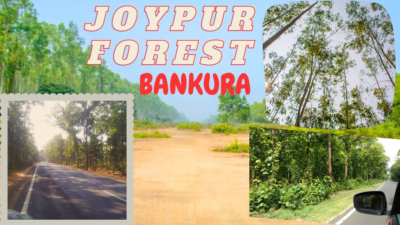 way-to-bishnupur-by-bus-through-joypur-forest-youtube