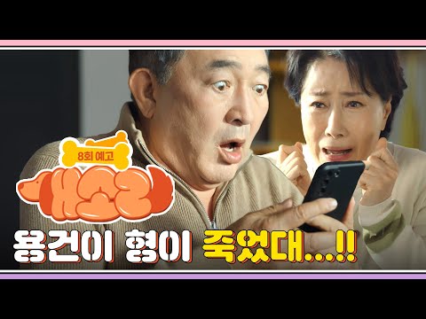 [개소리/Dog <strong>Knows</strong> Everything] | KBS 방송