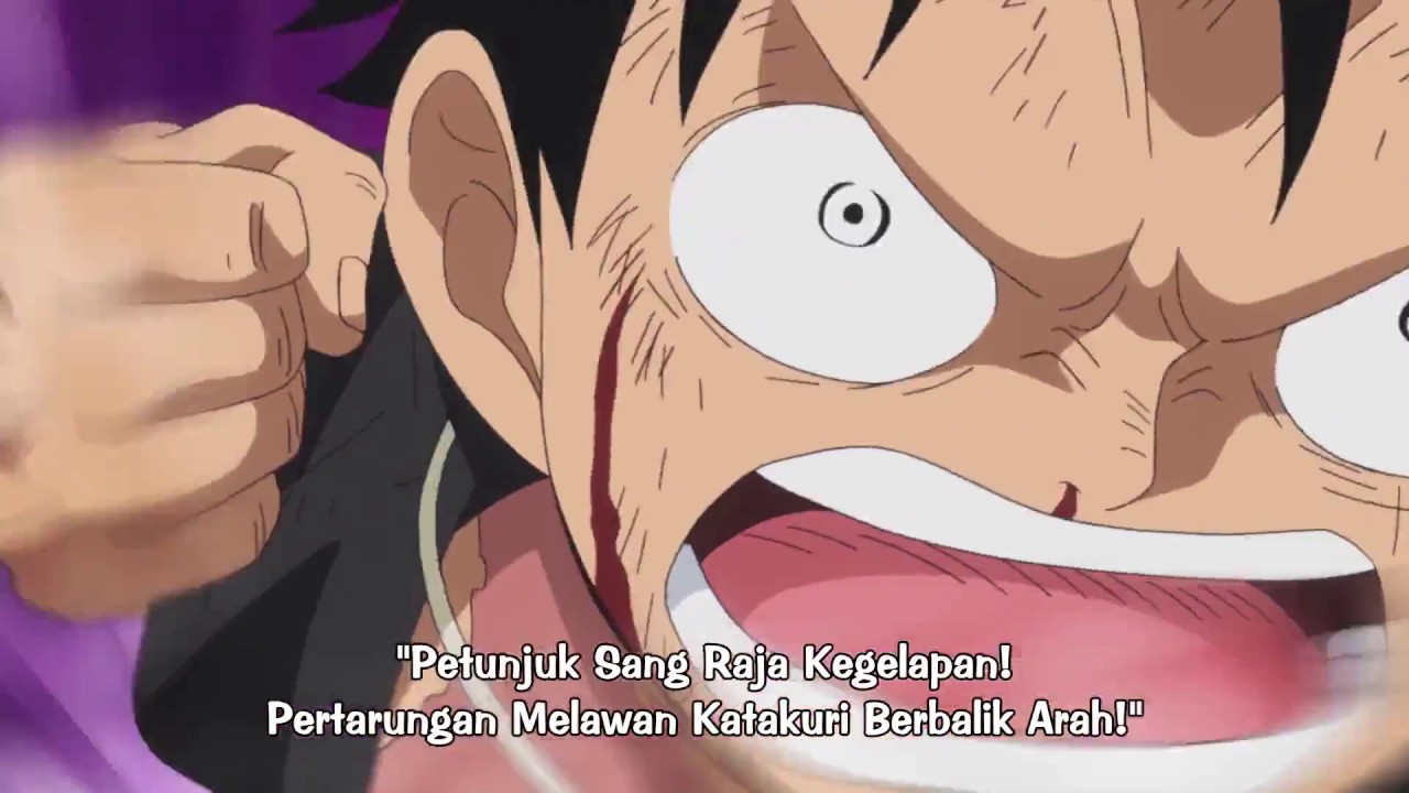 One Piece Episode 865 Sub Indo Goreng