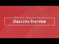 Glaucoma overview  wills eye hospital