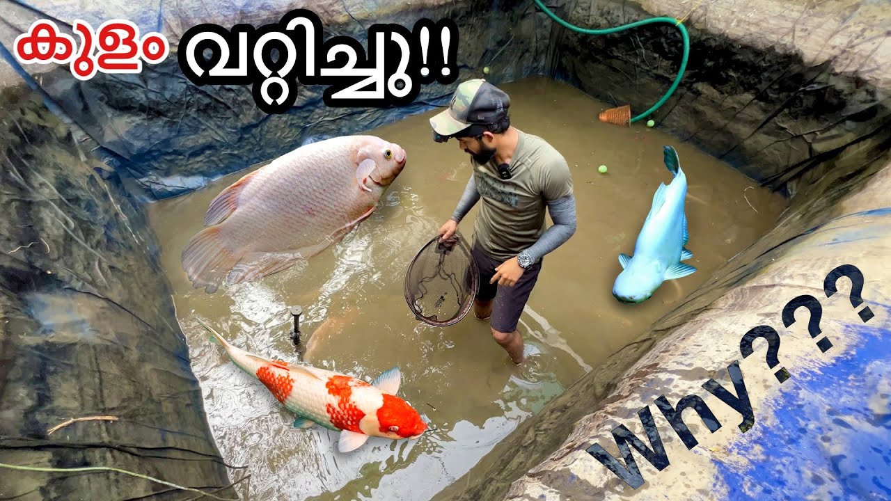 💥മീനുകൾ എല്ലാം ചത്തു പോയേനെ!!! | Caught all the Fishes!!!!