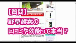 野草酵素の口コミや効能って本当？【酵素ダイエット効果】