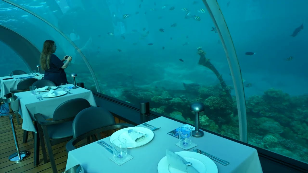 Самый большой в мире подводный ресторан 5.8 на курорте Hurawalhi Island Resort на Мальдивах, 10.0...