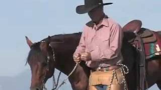 Martin Black - The Bridle