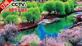 [Cities 1 on 1] 20160417 | CCTV-4