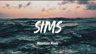 Lauv - Sims (Lyrics) Resimi