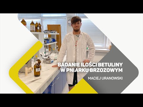 Maciej Uranowski - Badanie ilości betuliny w pniarku brzozowym