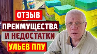 Пчеловодство и улья ппу Всё об ульях ппу после эксплуатации