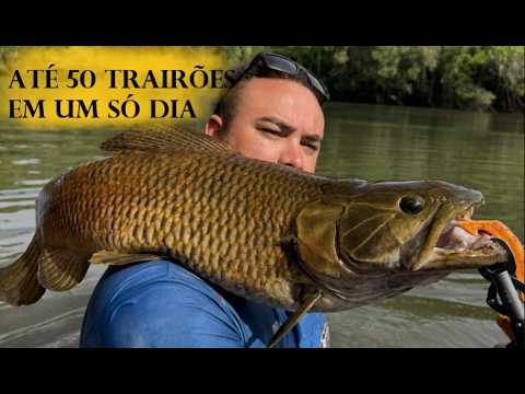 I WENT TO MATO GROSSO TO FISH FOR AMAZONIAN WOLF FISH - SEE HOW IT WENT - POUSADA MEZZALIRA