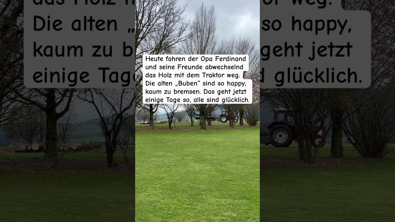 Traktor❤️ alter „Buben“ 