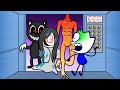 Cartoon Cat Goes In The Elevator With Nate | Animated Cartoons Characters | Animated Short Films