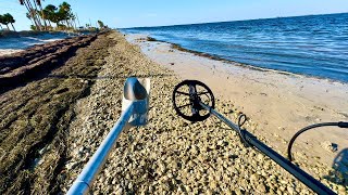 No One Wants to Metal Detect THIS Beach for Treasure