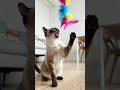 ai video #video #viral #like #ai #shorts #subscribe
