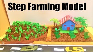 step farming model making project | DIY | science project | howtofunda | agriculture model
