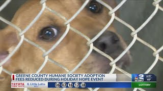 Greene Co. Humane Society offers reduced adoption fees