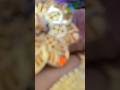 मिलो ना तुम तोहम घबराए#viral #tranding #sorts #video