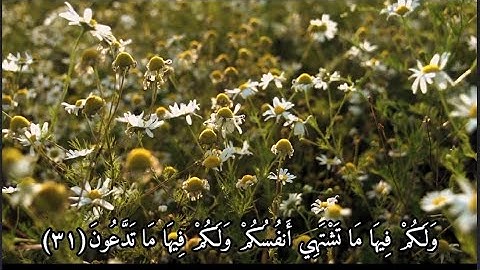 سورة الواقعه بصوت القارئ حمزة بوديب | برواية ورش عن نافع