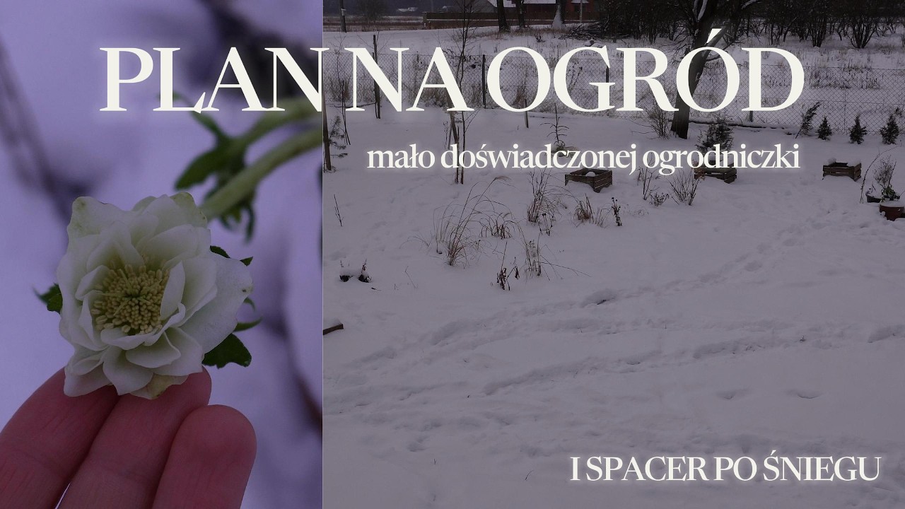 Jak tworzę ogród z czystą radością? Bez stresu i presji - rabata, warzywniak, drzwa i krzewy🪴🧑🏻‍🌾🌺