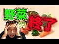 【悲報】野菜の栄養価がどんどん減っている！そして日本人の病気は増えている。