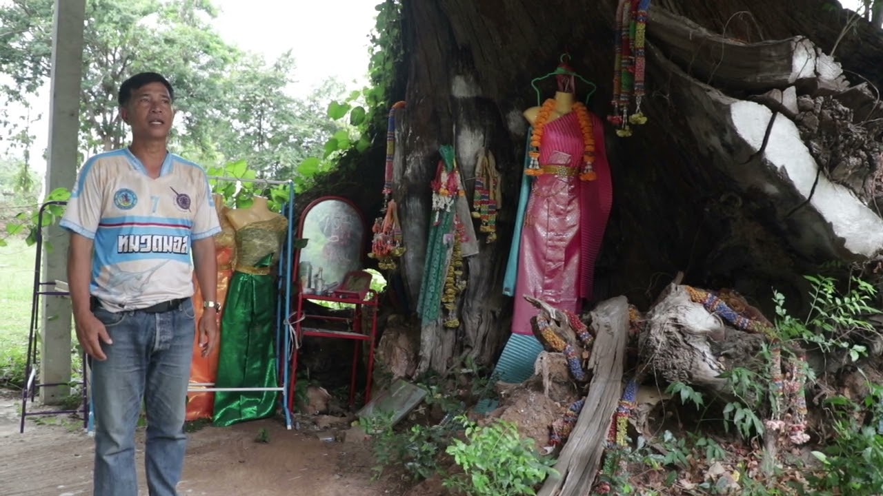 kidwaichailao วัดโพธิ์งามบ้านเขาดิน  ต.วังน้ำลัด  อ.ไพศาลี จ.นครสวรรค์