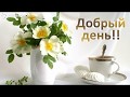 Добрый День!! - ПЕСНЯ