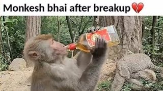 Funniest indian meme compilation part -5 | Try not to laugh Challenge | 