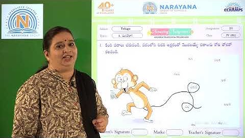 28TH SEP AP CLASS IV SL TELUGU AMAZING ASSIGNMENT 20 KEY
