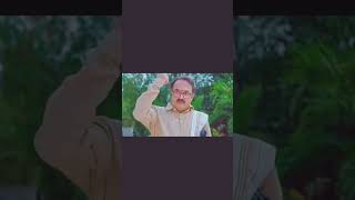#mamagaru siriyal