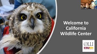 California Wildlife Center Virtual Tour • CSUDH OLLI