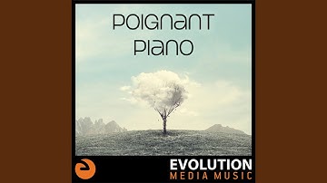 Beneath The Reflection