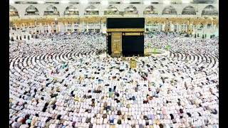 NÂS SÛRESİ (Hicaz Makâmı İle, 5 Tekrar) #kuran #ezber #namaz #sure #talim #tecvid #makam #seyir