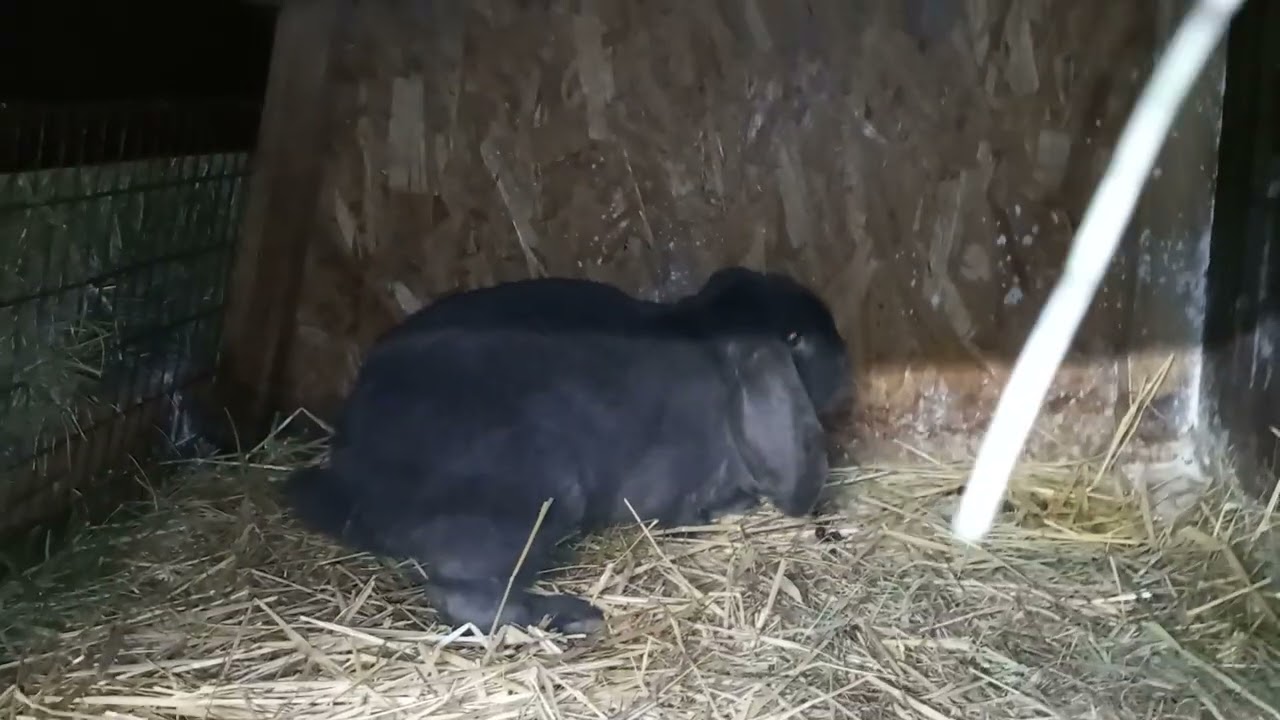 Nowe nabytki z Wielunia