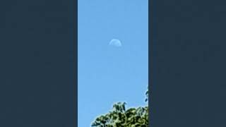 Sun and Moon together, @4pm.  Half moon..  WHY? #COGNITIVEdissonance