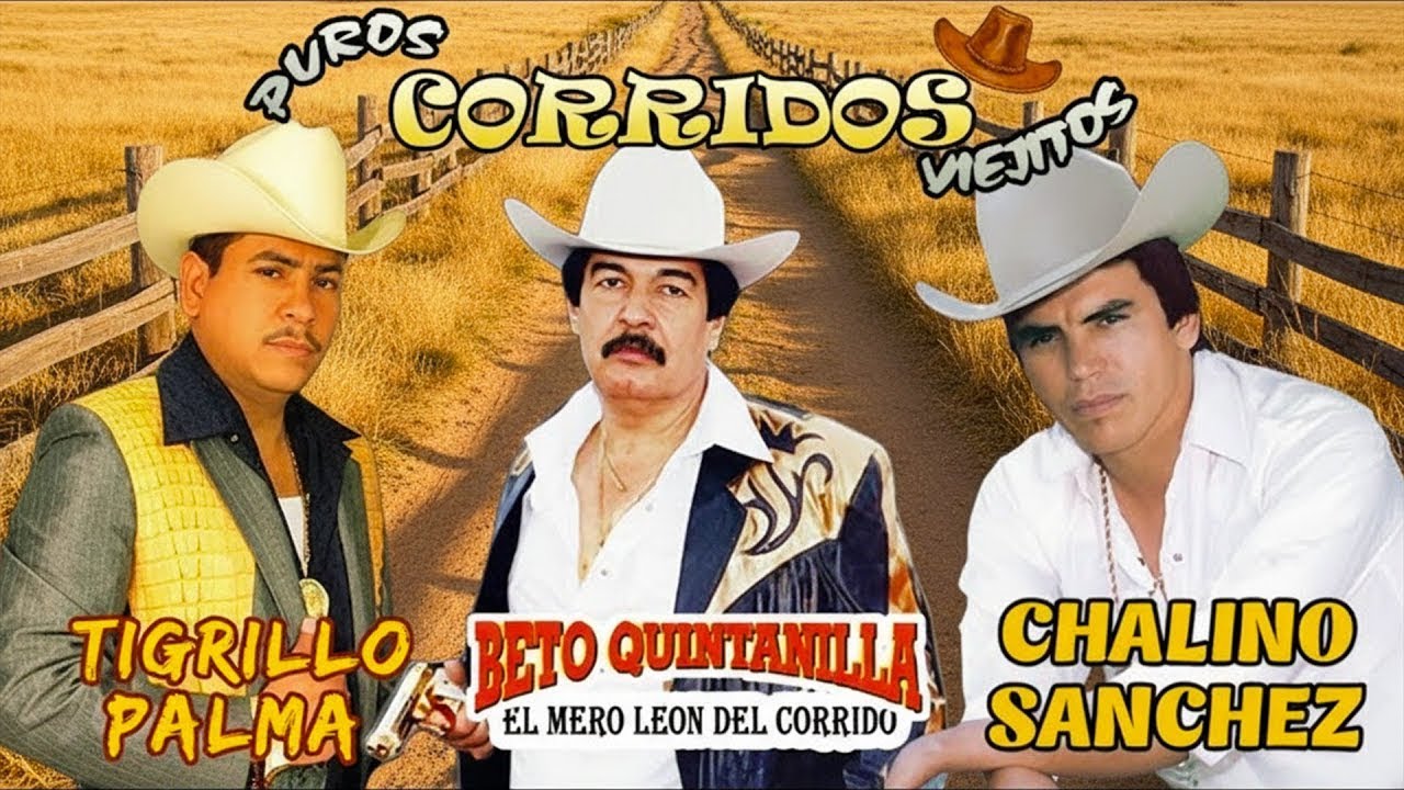 Chalino Sanchez, Beto Quintanilla y Tigrillo Palma Mix Para Pistear || Corridos Viejitos Mix 2025