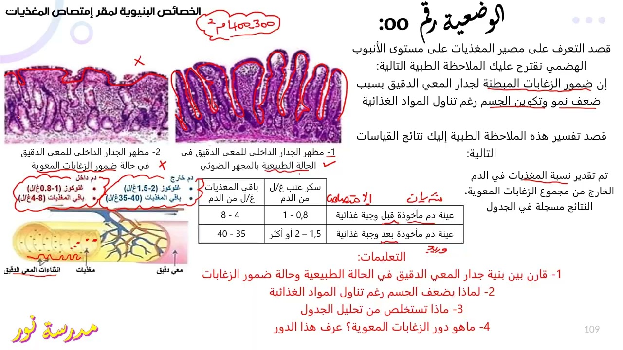 تمرين حول الخصائص البنيوية لمقر إمتصاص المغذيات علوم طبيعية سنة 04 متوسط