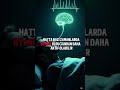 Beyniniz Size Yalan Söylüyor.